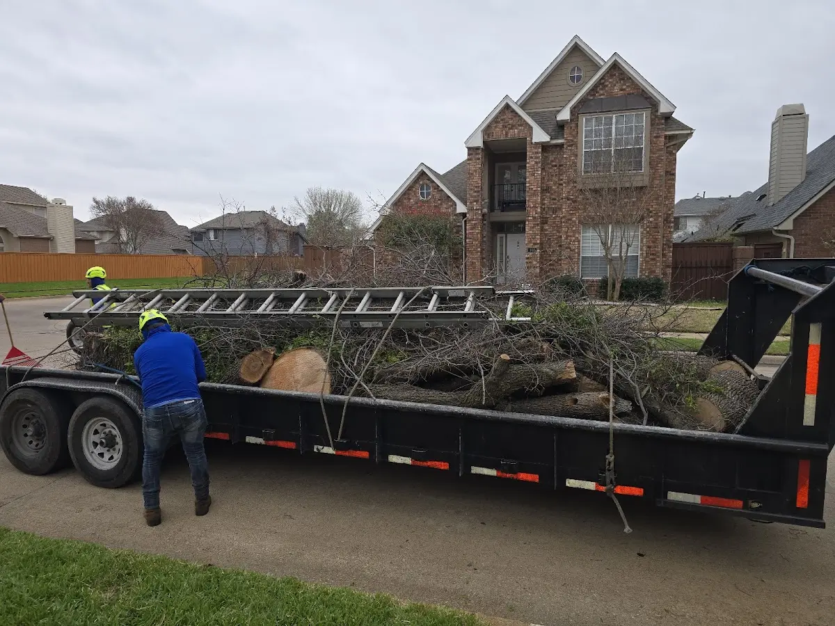 Expert Tree Removal with proper safety equipment in South Charleston